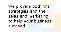 We provide both the 
strategies and the
sales and marketing
to help your business 
succeed.